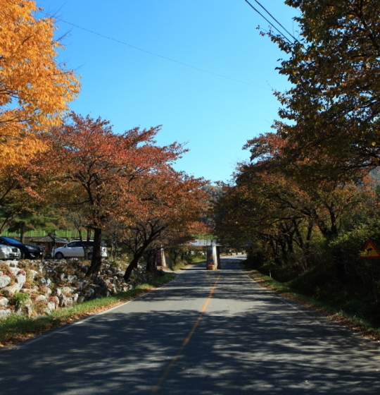 써니스테이 주변