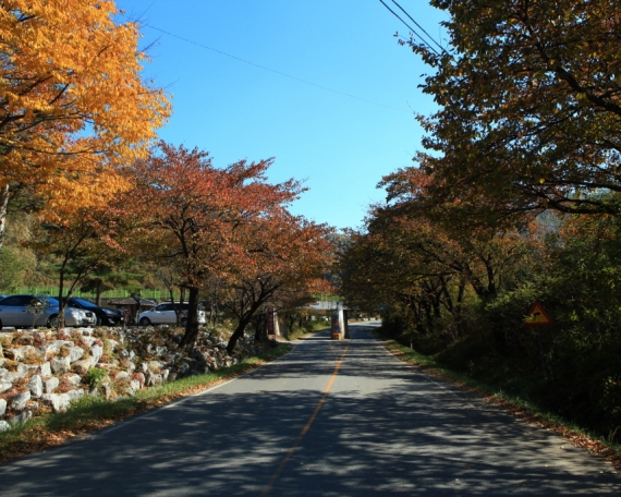 써니스테이 주변