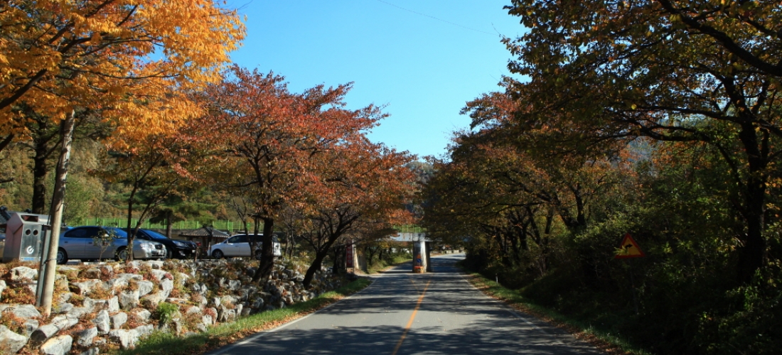 써니스테이 주변